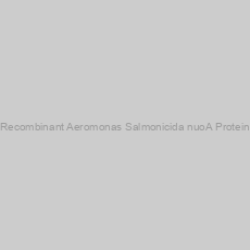 Image of Recombinant Aeromonas Salmonicida nuoA Protein